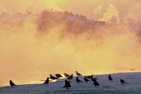 Холода в Санкт-Петербурге