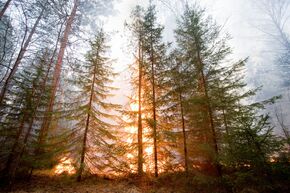 Лесной пожар в окрестностях города Ревда в Свердловской области. В Свердловской области введен режим ЧС из-за лесных пожаров