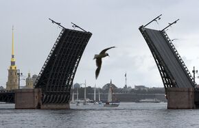 Дворцовый мост 