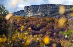 Вид на лес и горы в районе села Трудолюбовка в Крыму