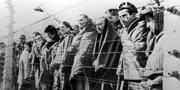 Узники концентрационного лагеря Освенцим