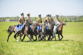 Военно-исторический фестиваль "Душоновские маневры"