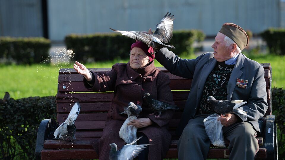 Пожилые люди кормят голубей