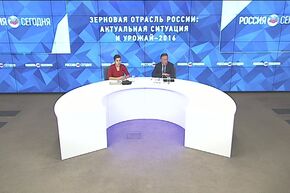 Зерновая отрасль России: актуальная ситуация и урожай–2016