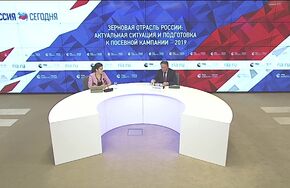 Зерновая отрасль России: актуальная ситуация и подготовка к посевной кампании – 2019