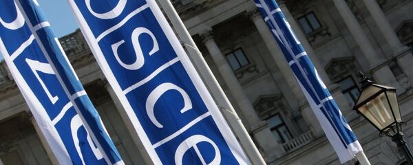 Организация по безопасности и сотрудничеству в Европе