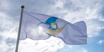 Флаг с символикой Евразийского экономического союза (ЕАЭС)